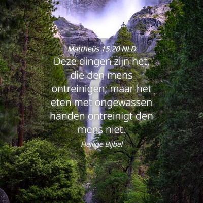 Picture 04 - Mattheüs 15:20 NLD - Deze dingen zijn het, die den mens ontreinigen; - Bible Verse Picture