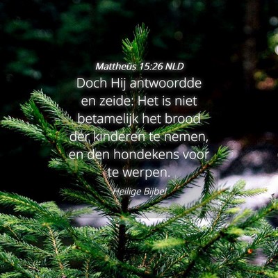 Picture 04 - Mattheüs 15:26 NLD - Doch Hij antwoordde en zeide: Het is niet - Bible Verse Picture