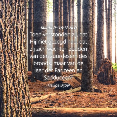 Picture 04 - Mattheüs 16:12 NLD - Toen verstonden zij, dat Hij niet gezegd had, dat - Bible Verse Picture