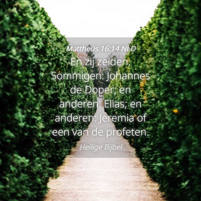 Picture 04 - Mattheüs 16:14 NLD - En zij zeiden: Sommigen: Johannes de Doper; en - Bible Verse Picture