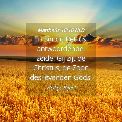 Picture 04 - Mattheüs 16:16 NLD - En Simon Petrus, antwoordende, zeide: Gij zijt de - Bible Verse Picture