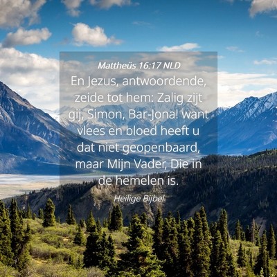 Picture 04 - Mattheüs 16:17 NLD - En Jezus, antwoordende, zeide tot hem: Zalig zijt - Bible Verse Picture