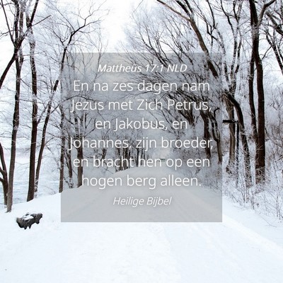 Picture 04 - Mattheüs 17:1 NLD - En na zes dagen nam Jezus met Zich Petrus, en - Bible Verse Picture