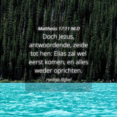 Picture 04 - Mattheüs 17:11 NLD - Doch Jezus, antwoordende, zeide tot hen: Elias - Bible Verse Picture