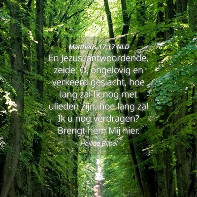 Picture 04 - Mattheüs 17:17 NLD - En Jezus, antwoordende, zeide: O, ongelovig en - Bible Verse Picture