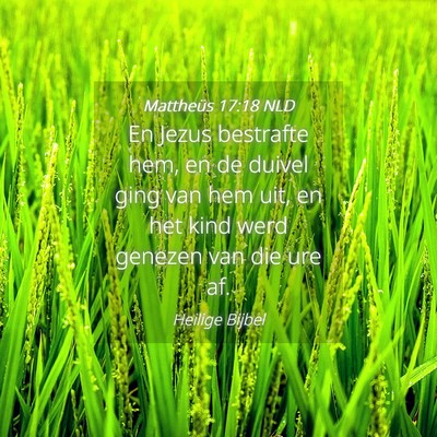 Picture 04 - Mattheüs 17:18 NLD - En Jezus bestrafte hem, en de duivel ging van hem - Bible Verse Picture