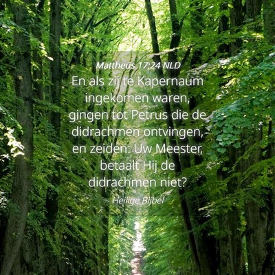 Picture 04 - Mattheüs 17:24 NLD - En als zij te Kapernaum ingekomen waren, gingen - Bible Verse Picture