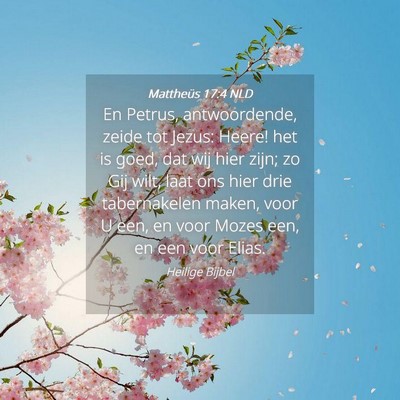 Picture 04 - Mattheüs 17:4 NLD - En Petrus, antwoordende, zeide tot Jezus: Heere! - Bible Verse Picture