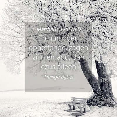Picture 04 - Mattheüs 17:8 NLD - En hun ogen opheffende, zagen zij niemand, dan - Bible Verse Picture