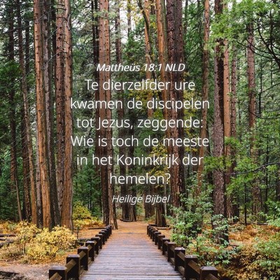Picture 04 - Mattheüs 18:1 NLD - Te dierzelfder ure kwamen de discipelen tot - Bible Verse Picture