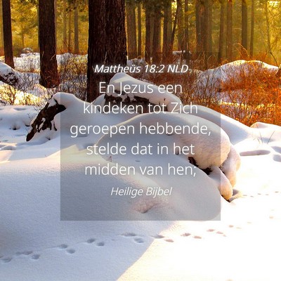 Picture 04 - Mattheüs 18:2 NLD - En Jezus een kindeken tot Zich geroepen hebbende, - Bible Verse Picture