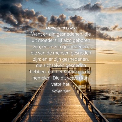 Picture 04 - Mattheüs 19:12 NLD - Want er zijn gesnedenen, die uit moeders lijf - Bible Verse Picture