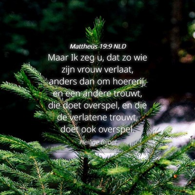 Picture 04 - Mattheüs 19:9 NLD - Maar Ik zeg u, dat zo wie zijn vrouw verlaat, - Bible Verse Picture