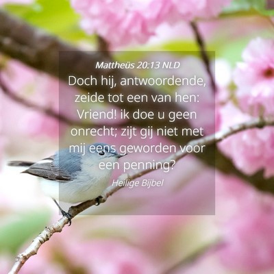 Picture 04 - Mattheüs 20:13 NLD - Doch hij, antwoordende, zeide tot een van hen: - Bible Verse Picture