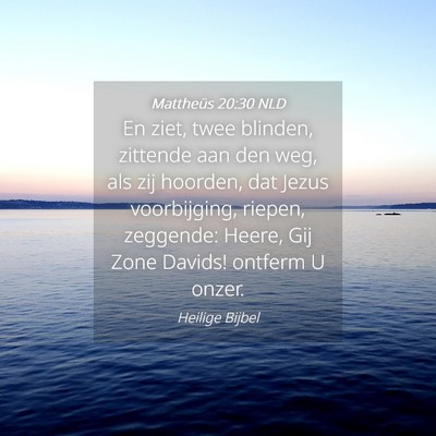 Picture 04 - Mattheüs 20:30 NLD - En ziet, twee blinden, zittende aan den weg, als - Bible Verse Picture