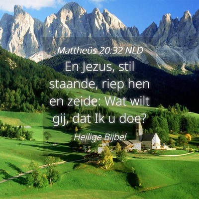 Picture 04 - Mattheüs 20:32 NLD - En Jezus, stil staande, riep hen en zeide: Wat - Bible Verse Picture
