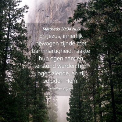 Picture 04 - Mattheüs 20:34 NLD - En Jezus, innerlijk bewogen zijnde met - Bible Verse Picture