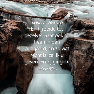 Picture 04 - Mattheüs 20:4 NLD - En hij zeide tot dezelve: Gaat ook gij heen in - Bible Verse Picture