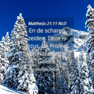 Picture 04 - Mattheüs 21:11 NLD - En de scharen zeiden: Deze is Jezus, de Profeet - Bible Verse Picture