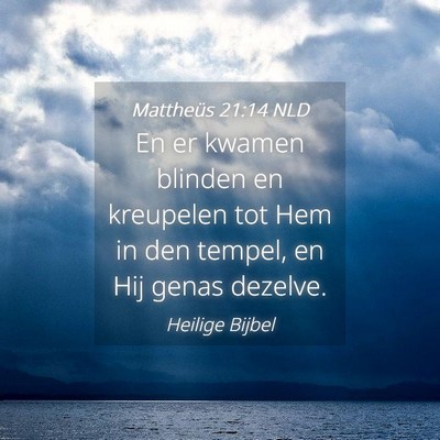 Picture 04 - Mattheüs 21:14 NLD - En er kwamen blinden en kreupelen tot Hem in den - Bible Verse Picture