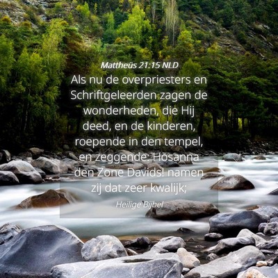 Picture 04 - Mattheüs 21:15 NLD - Als nu de overpriesters en Schriftgeleerden zagen - Bible Verse Picture