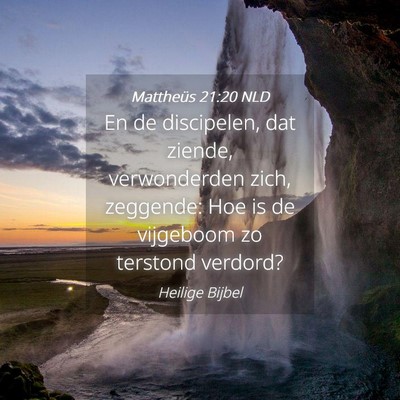 Picture 04 - Mattheüs 21:20 NLD - En de discipelen, dat ziende, verwonderden zich, - Bible Verse Picture
