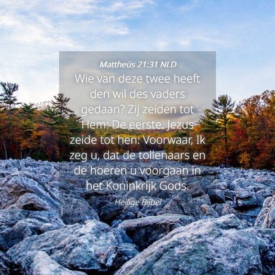 Picture 04 - Mattheüs 21:31 NLD - Wie van deze twee heeft den wil des vaders - Bible Verse Picture