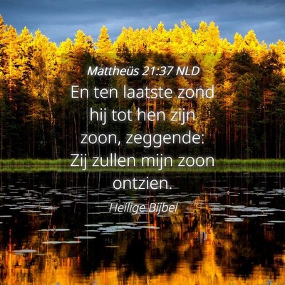 Picture 04 - Mattheüs 21:37 NLD - En ten laatste zond hij tot hen zijn zoon, - Bible Verse Picture