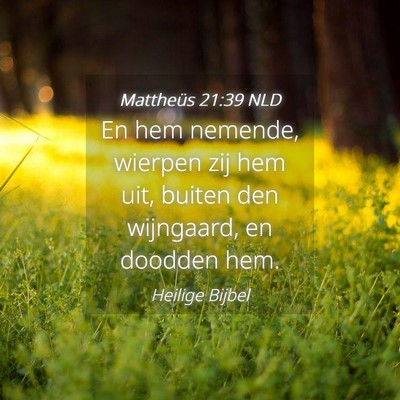 Picture 04 - Mattheüs 21:39 NLD - En hem nemende, wierpen zij hem uit, buiten den - Bible Verse Picture