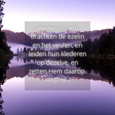 Picture 04 - Mattheüs 21:7 NLD - Brachten de ezelin en het veulen, en leiden hun - Bible Verse Picture