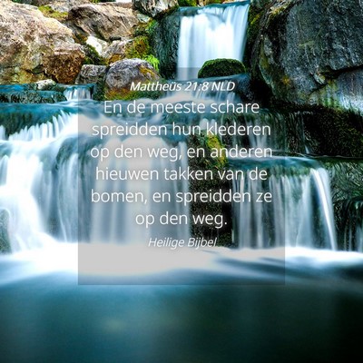 Picture 04 - Mattheüs 21:8 NLD - En de meeste schare spreidden hun klederen op den - Bible Verse Picture