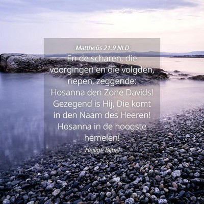 Picture 04 - Mattheüs 21:9 NLD - En de scharen, die voorgingen en die volgden, - Bible Verse Picture