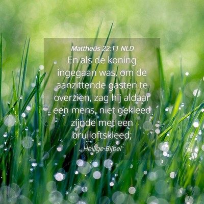 Picture 04 - Mattheüs 22:11 NLD - En als de koning ingegaan was, om de aanzittende - Bible Verse Picture