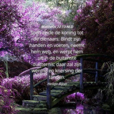Picture 04 - Mattheüs 22:13 NLD - Toen zeide de koning tot de dienaars: Bindt zijn - Bible Verse Picture