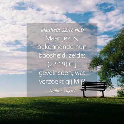 Picture 04 - Mattheüs 22:18 NLD - Maar Jezus, bekennende hun boosheid, zeide: - Bible Verse Picture