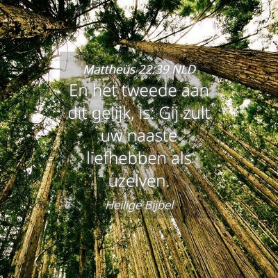 Picture 04 - Mattheüs 22:39 NLD - En het tweede aan dit gelijk, is: Gij zult uw - Bible Verse Picture