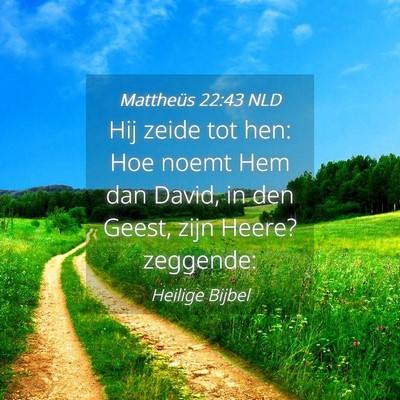 Picture 04 - Mattheüs 22:43 NLD - Hij zeide tot hen: Hoe noemt Hem dan David, in - Bible Verse Picture