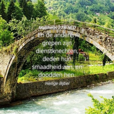 Picture 04 - Mattheüs 22:6 NLD - En de anderen grepen zijn dienstknechten, deden - Bible Verse Picture