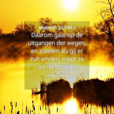 Picture 04 - Mattheüs 22:9 NLD - Daarom gaat op de uitgangen der wegen, en zovelen - Bible Verse Picture