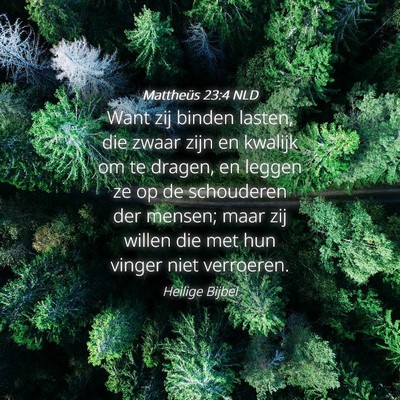 Picture 04 - Mattheüs 23:4 NLD - Want zij binden lasten, die zwaar zijn en kwalijk - Bible Verse Picture
