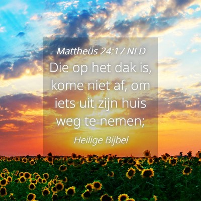 Picture 04 - Mattheüs 24:17 NLD - Die op het dak is, kome niet af, om iets uit zijn - Bible Verse Picture