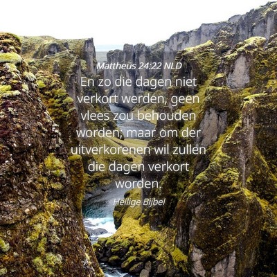 Picture 04 - Mattheüs 24:22 NLD - En zo die dagen niet verkort werden, geen vlees - Bible Verse Picture