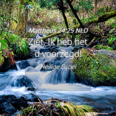 Picture 04 - Mattheüs 24:25 NLD - Ziet, Ik heb het u - Bible Verse Picture