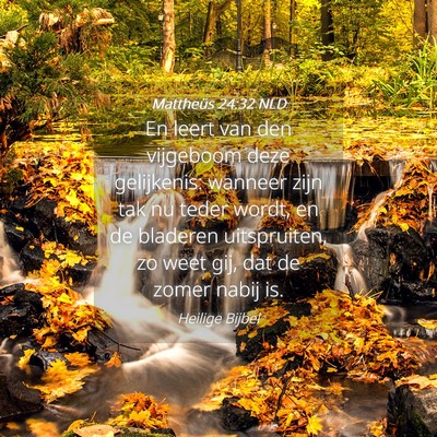 Picture 04 - Mattheüs 24:32 NLD - En leert van den vijgeboom deze gelijkenis: - Bible Verse Picture