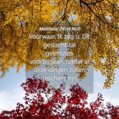 Picture 04 - Mattheüs 24:34 NLD - Voorwaar, Ik zeg u: Dit geslacht zal geenszins - Bible Verse Picture