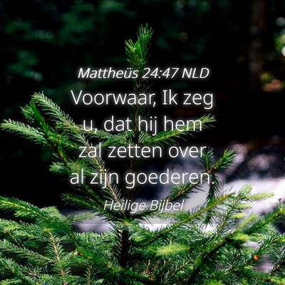 Picture 04 - Mattheüs 24:47 NLD - Voorwaar, Ik zeg u, dat hij hem zal zetten over - Bible Verse Picture