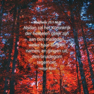 Picture 04 - Mattheüs 25:1 NLD - Alsdan zal het Koninkrijk der hemelen gelijk zijn - Bible Verse Picture