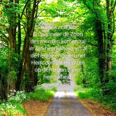 Picture 04 - Mattheüs 25:31 NLD - En wanneer de Zoon des mensen komen zal in Zijn - Bible Verse Picture