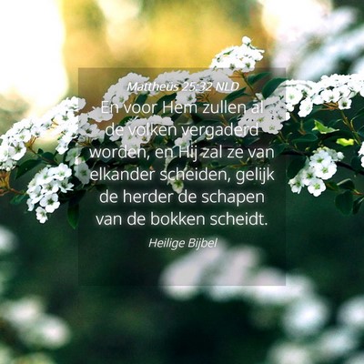 Picture 04 - Mattheüs 25:32 NLD - En voor Hem zullen al de volken vergaderd worden, - Bible Verse Picture