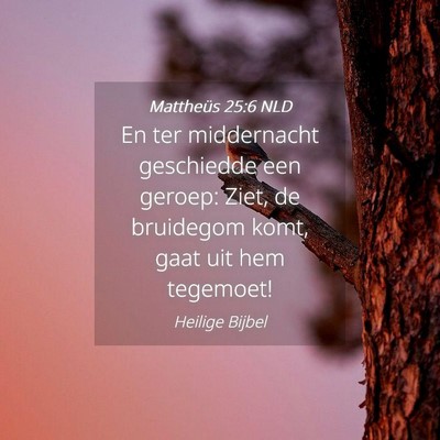 Picture 04 - Mattheüs 25:6 NLD - En ter middernacht geschiedde een geroep: Ziet, - Bible Verse Picture
